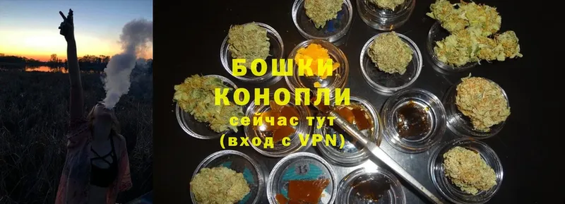 Канабис White Widow  как найти закладки  Новоузенск 